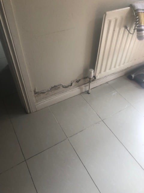 Damp in walls