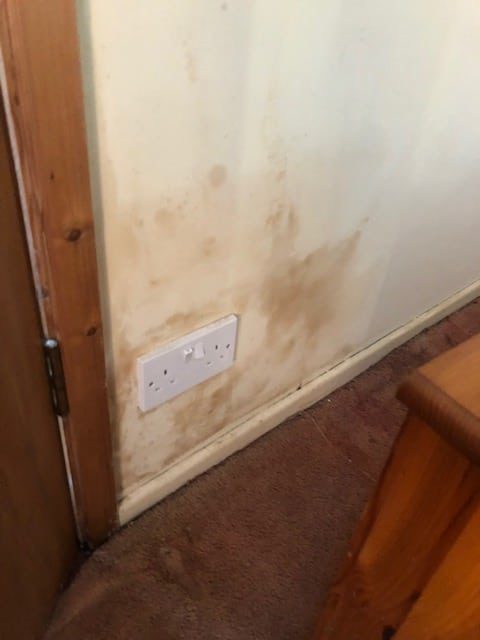 wall damp problems