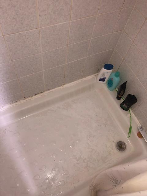 Shower Leak South Belfast