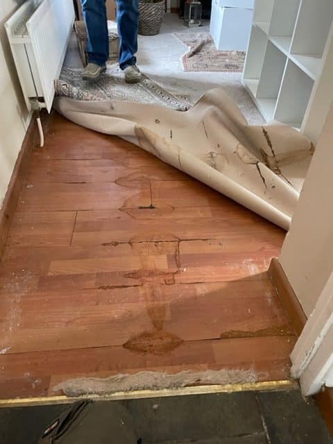 Radiator Pipe Leak Detection