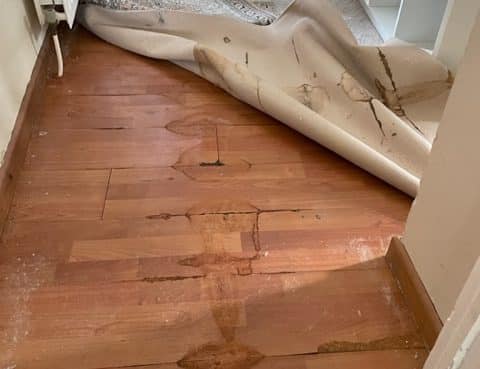 Wooden Floor Leak detection