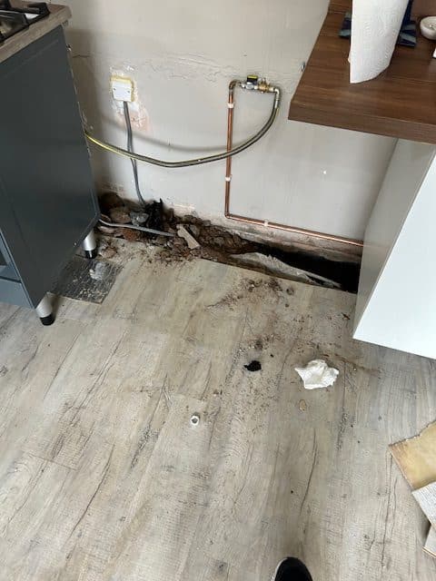 Leak Detection Carrickfegus