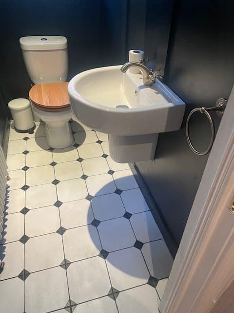 Bathroom Leak Detection Holywood County down