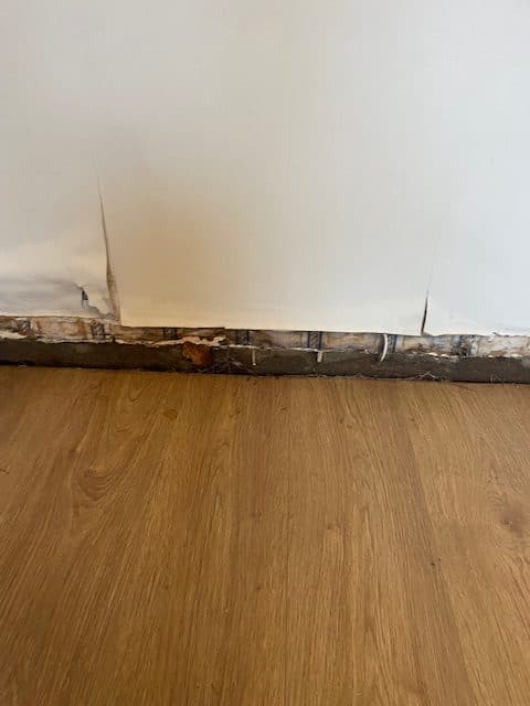 Leak detection under wooden floor donaghadee