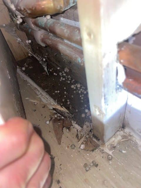 Damp damage Discovery Belfast