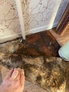 Leak from damaged Pipe Bangor