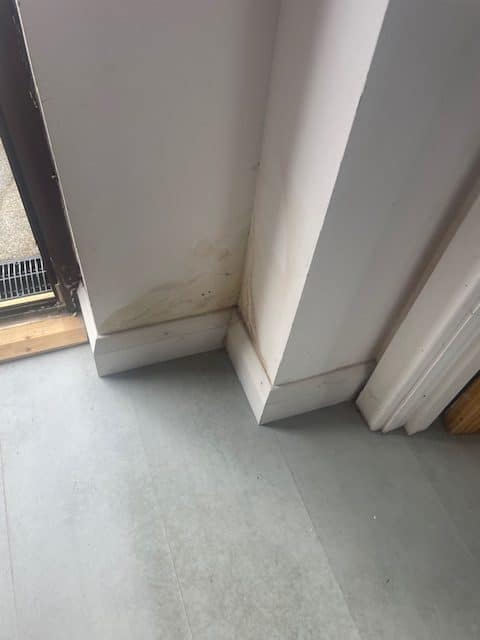 Finding Leaks Bangor
