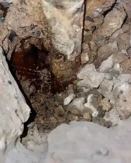 Heating System Pipe Leak Carryduff