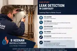 Leak Detection Carryduff