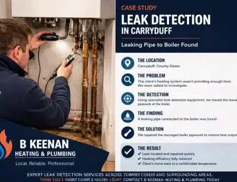 Leak Detection Carryduff