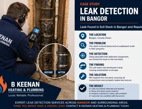 Leak Detection Cranley Bangor