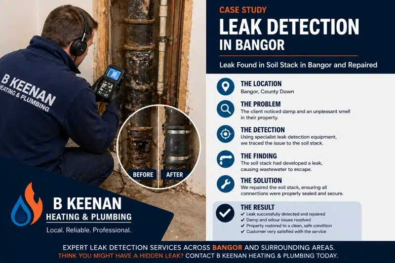 Leak Detection Cranley Bangor