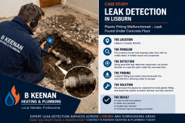 Leak Detection Lisburn.