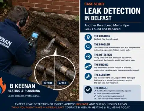 Main Pipe Leak Detection Belfast