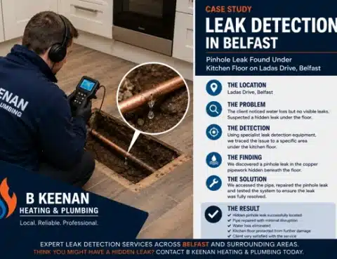 Leak Detection Ladas Drive Belfast