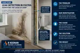 Leak Detection Experts Cultra