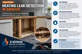 Heat System Leak Bangor