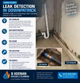 Leak detection Downpatrick
