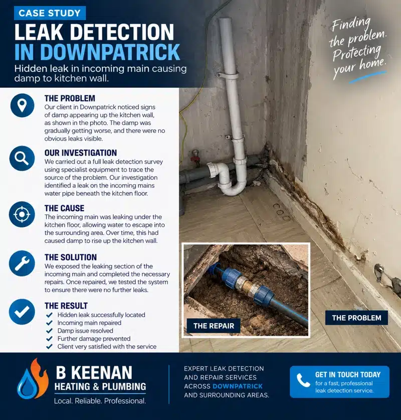 Leak detection Downpatrick